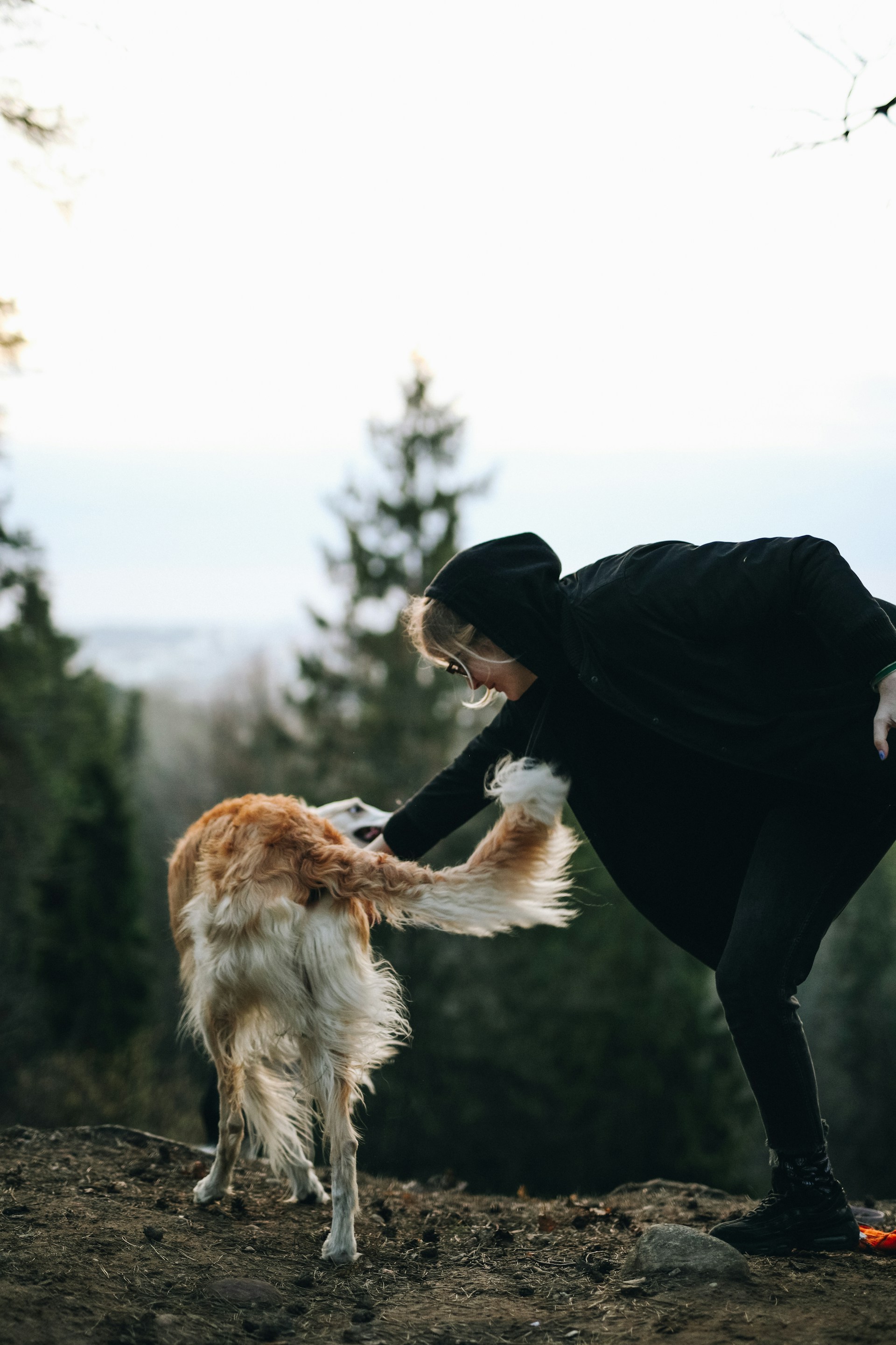 woman in black jacket and black pants holding brown long coated dog