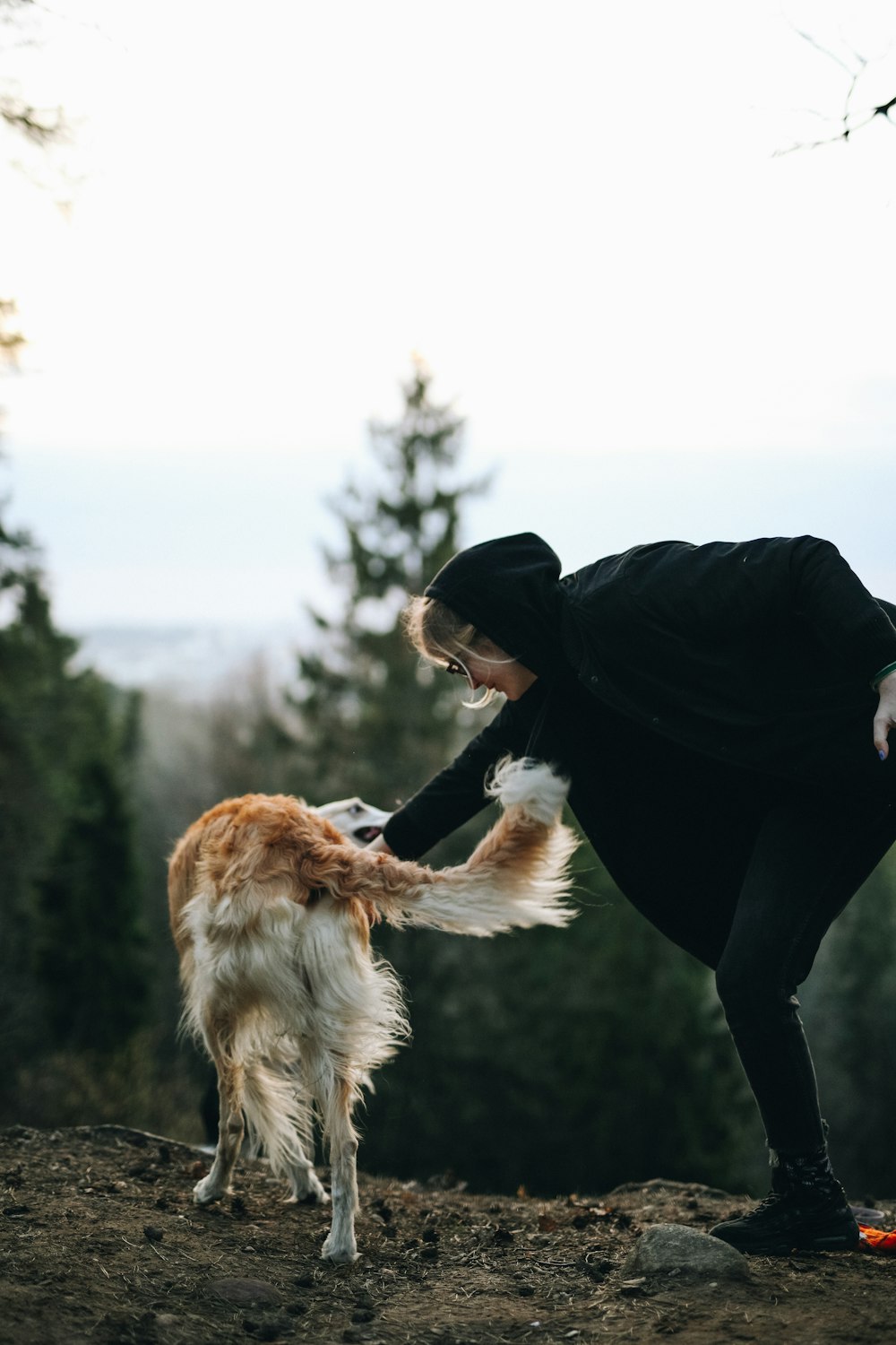 woman in black jacket and black pants holding brown long coated dog