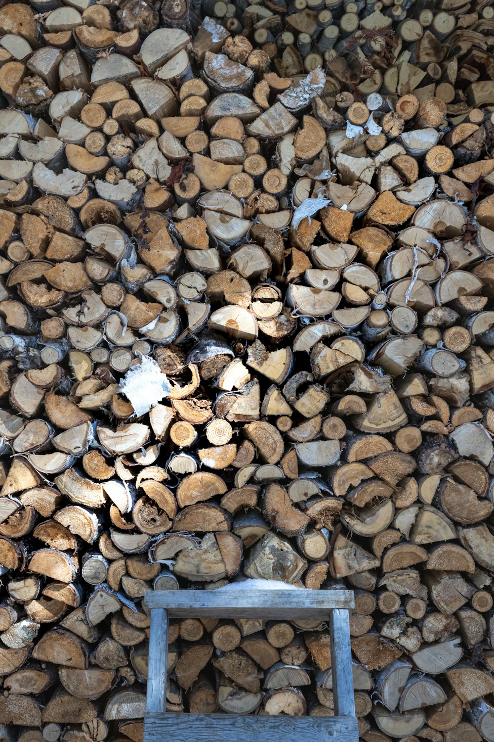 brown and white wood logs