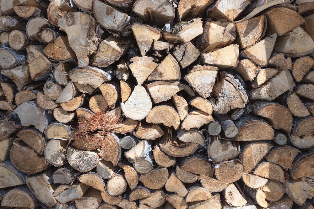 brown and black firewood stack