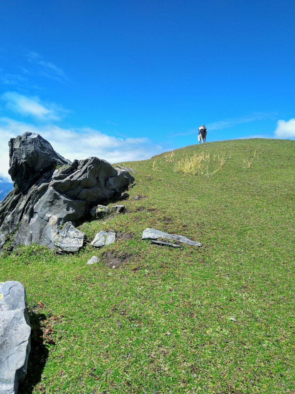 person standing on gray rock formation during daytime