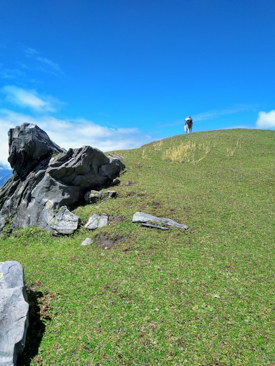 person standing on gray rock formation during daytime in Manali India