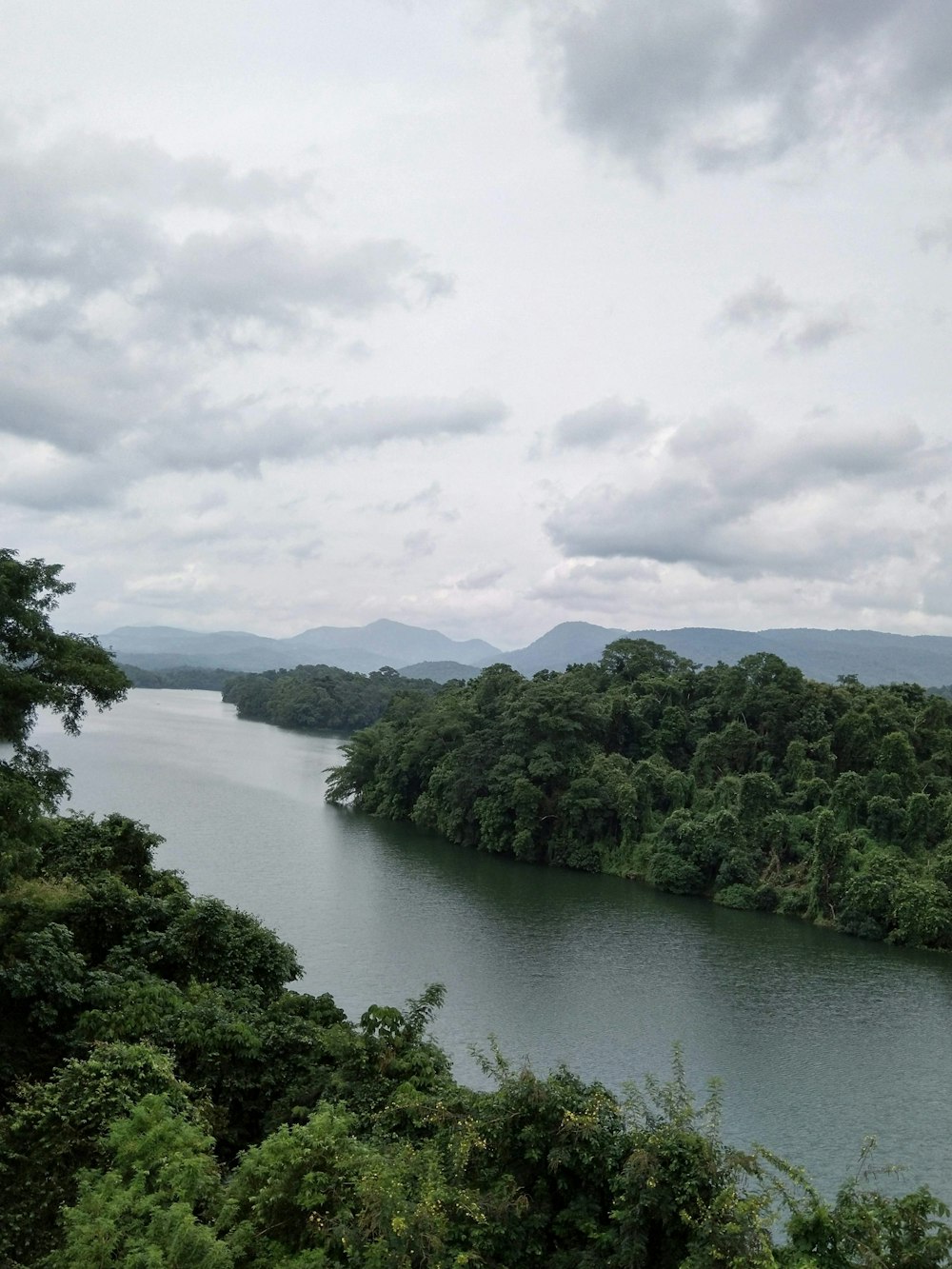 green trees near river under white clouds during daytime