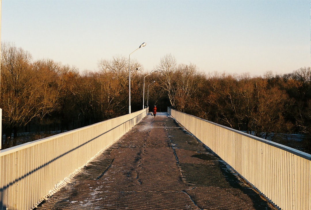person in black jacket walking on brown wooden bridge during daytime