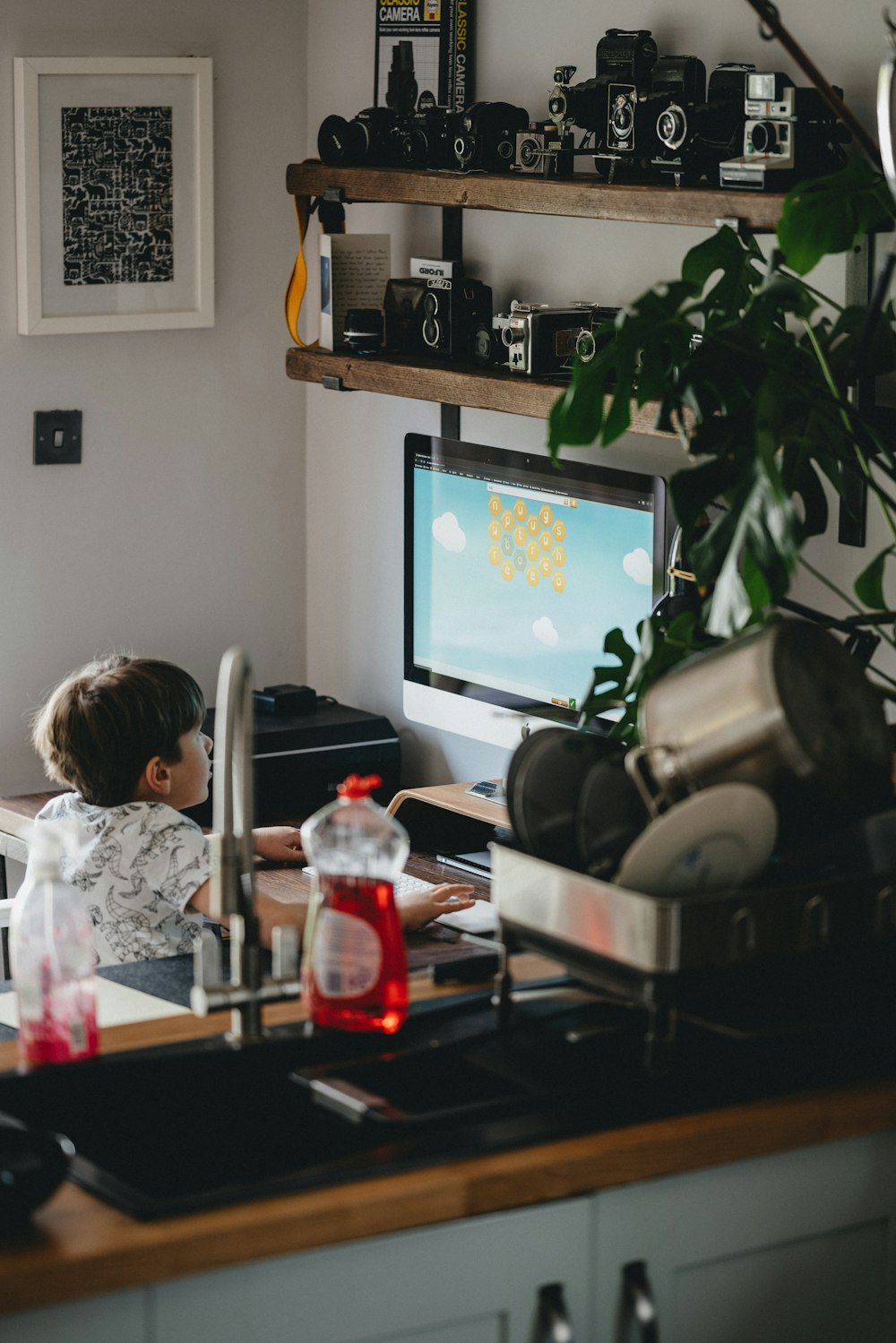 緑の屋内植物の近くで黒いフラットスクリーンテレビがオンになりました