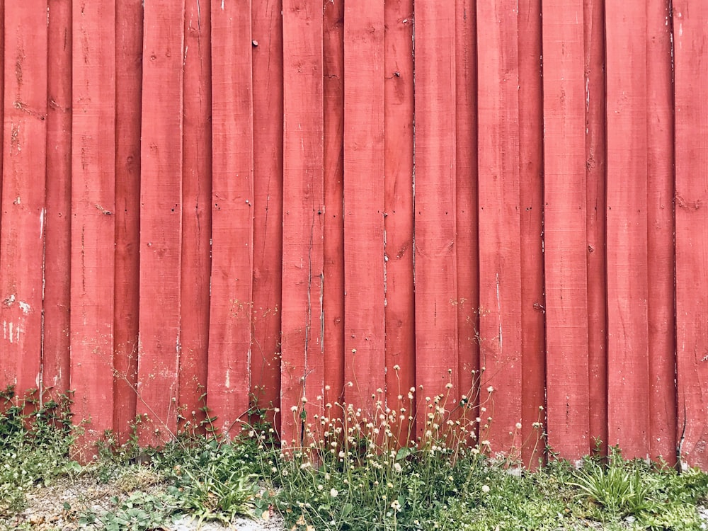 valla de madera roja sobre hierba verde