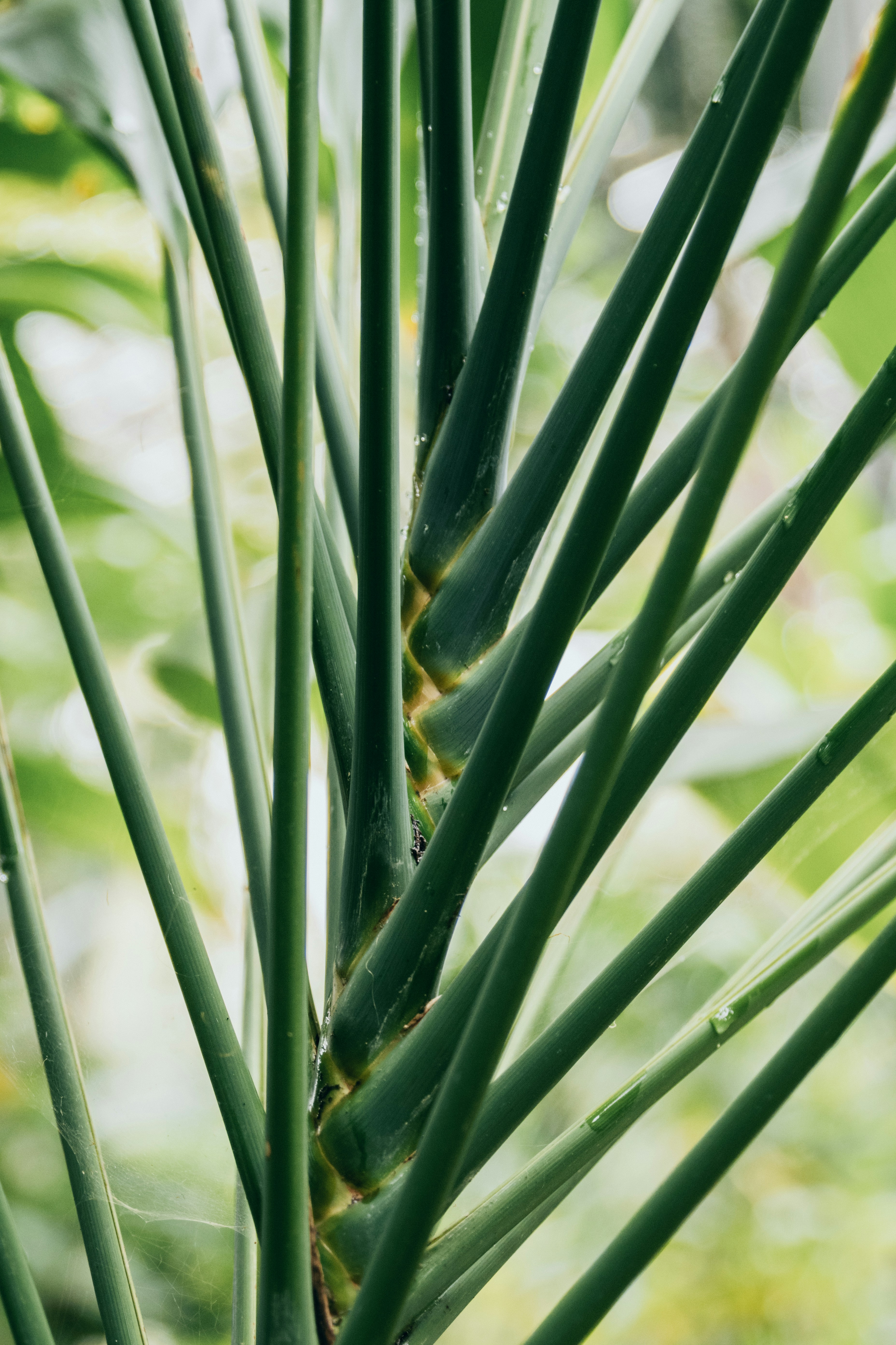 Photo by thimovanleeuwen