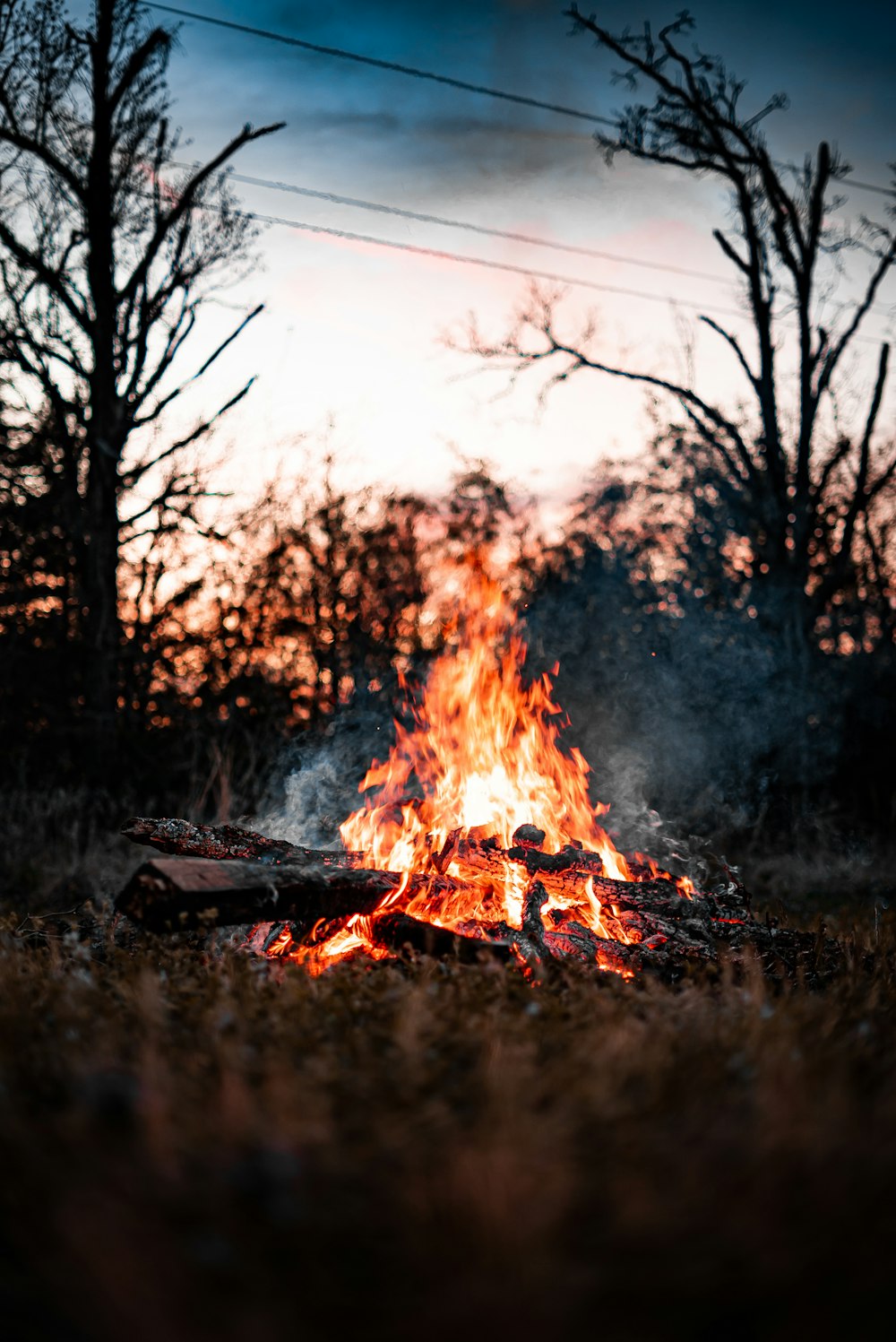 burning wood on fire during daytime