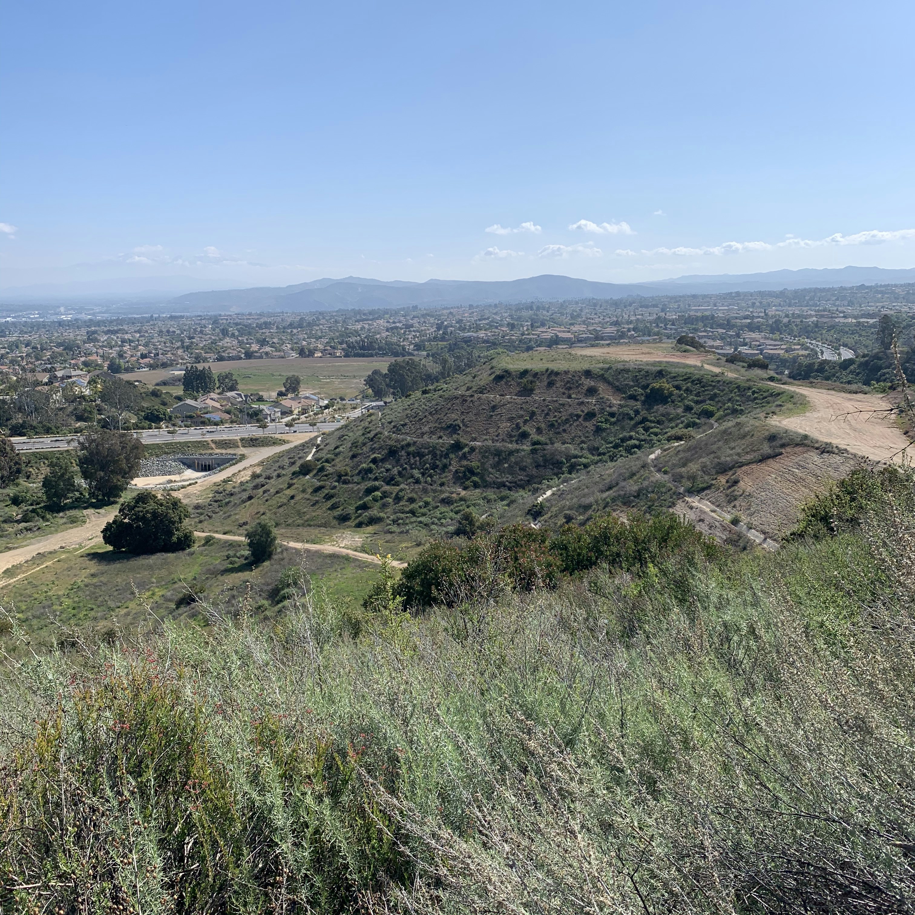 Définition de campo Dictionnaire français
