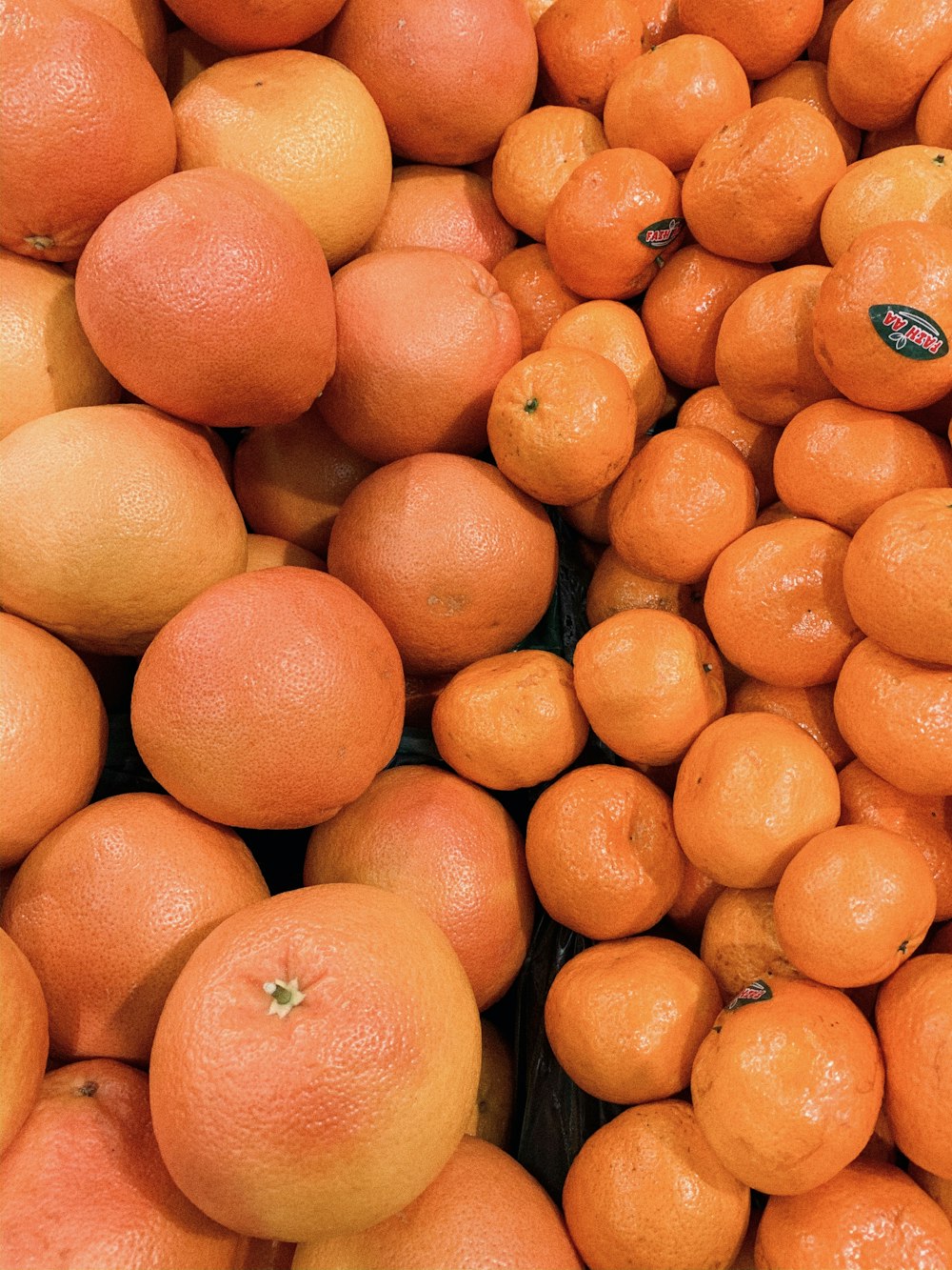 Fruits orange sur assiette en céramique blanche