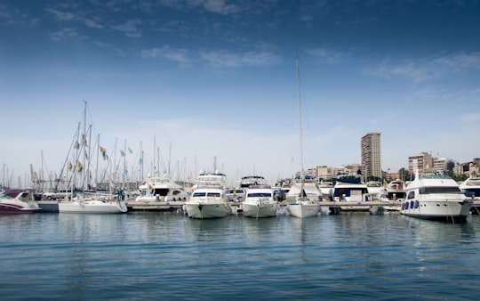 white and blue boats on sea during daytime in Alicante Spain