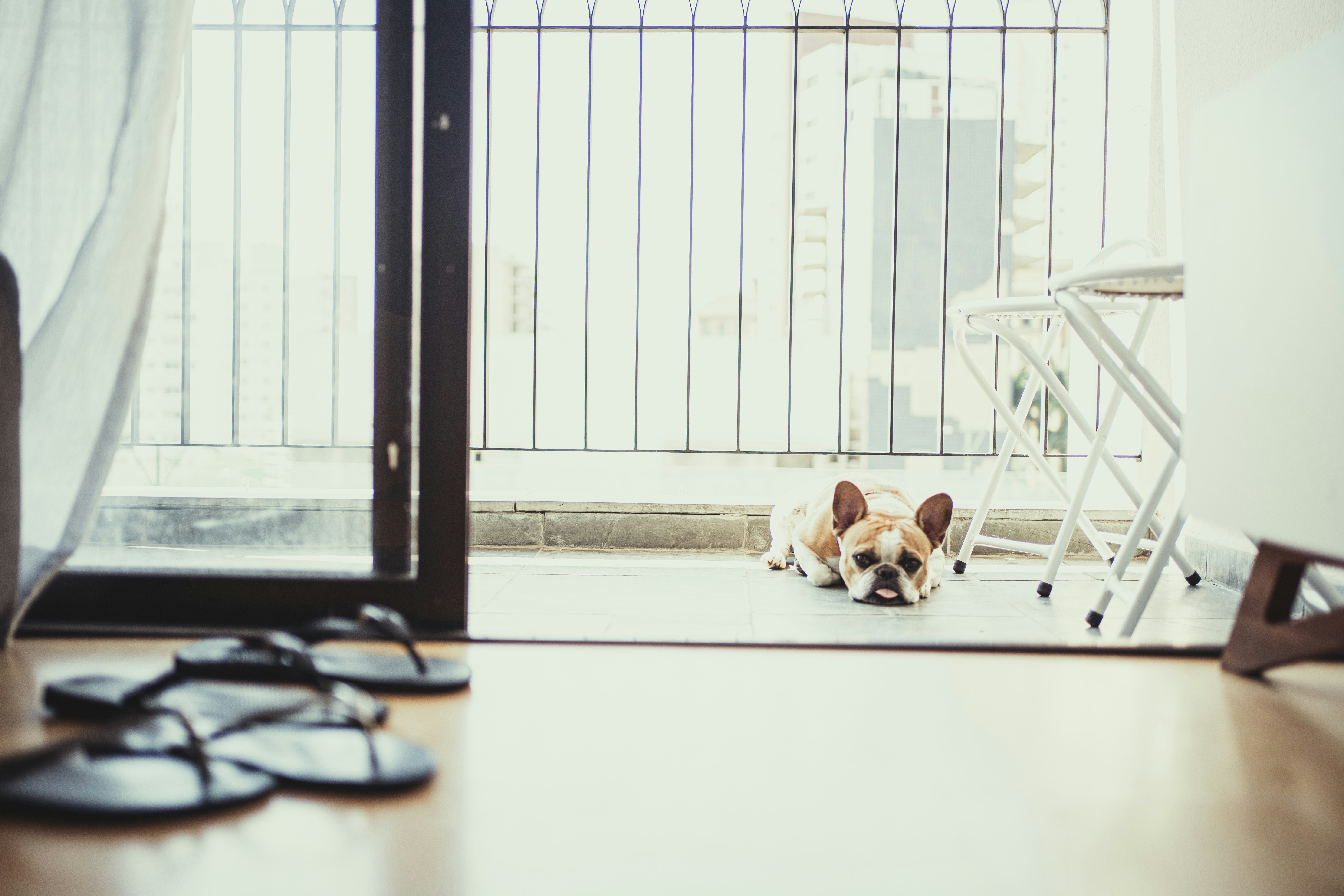 Affiliate recruiter referral rates