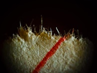 A close-up of a fibrous, textured surface with a prominent red line running vertically. The fibrous material appears to be slightly frayed at the edges, indicating a natural or woven material.