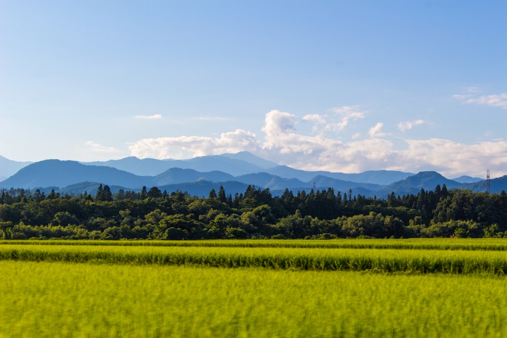 green grass field near mountain under blue sky during daytime