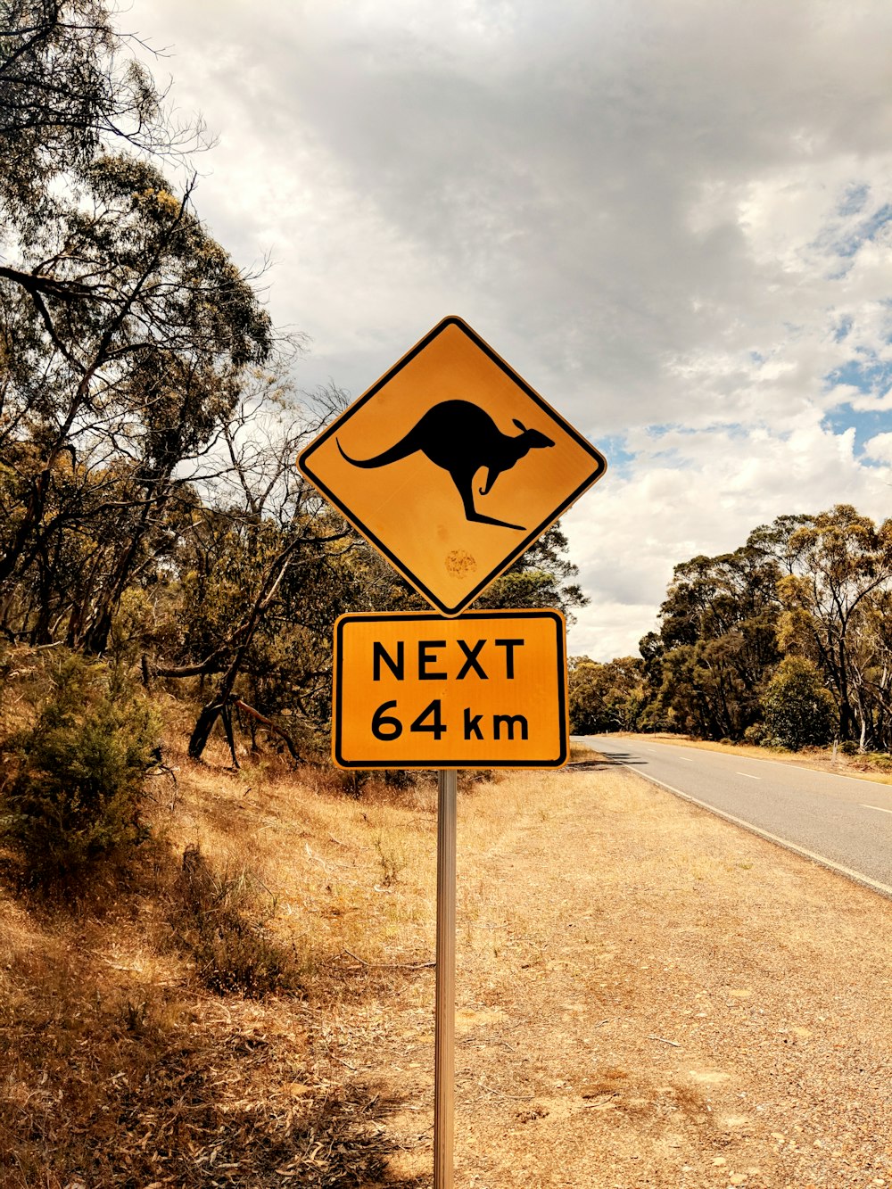 black and yellow road sign