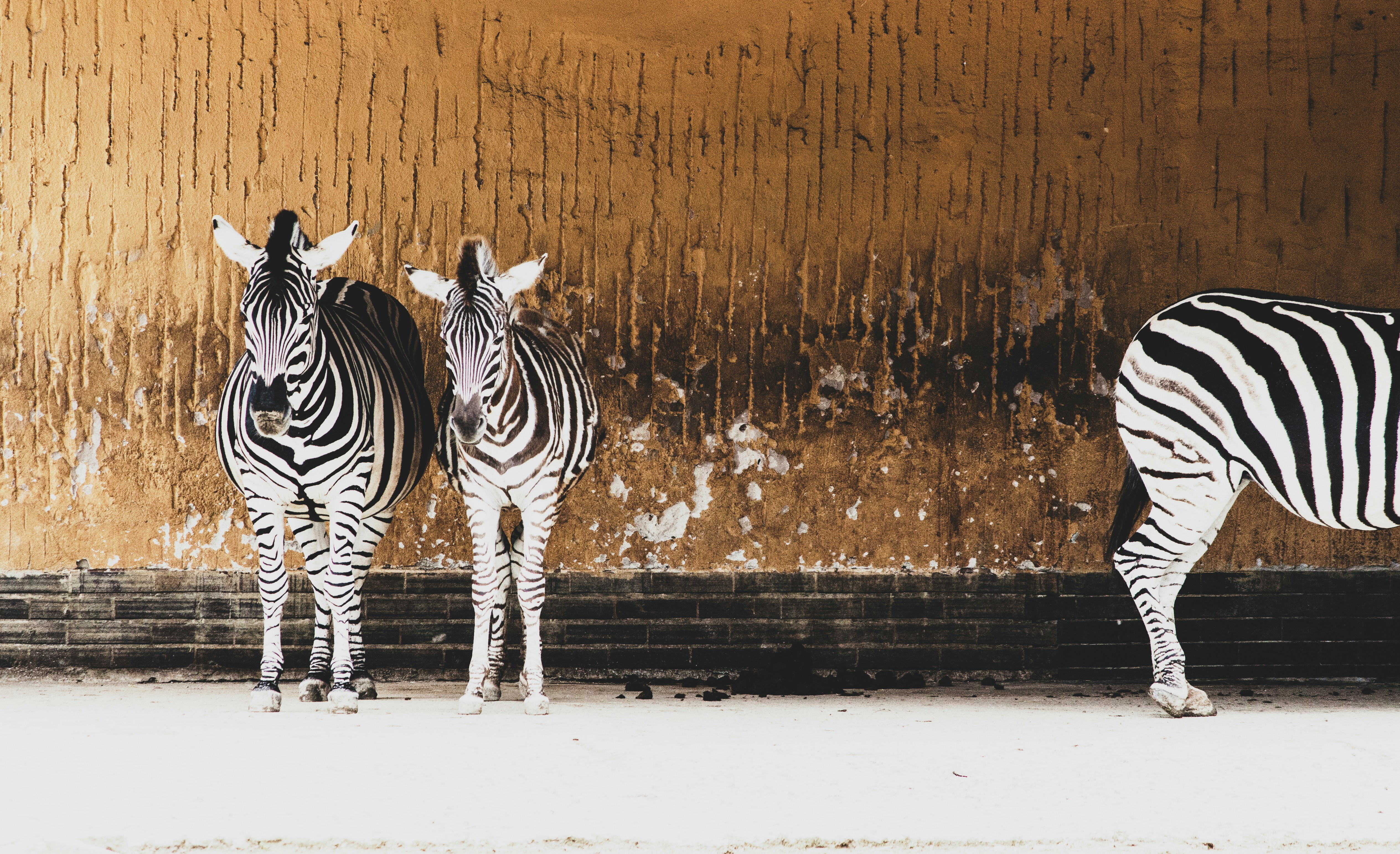 Est-ce que boire 2 à 3 litres d'eau par jour aide votre peau ?, image size:3000x1830