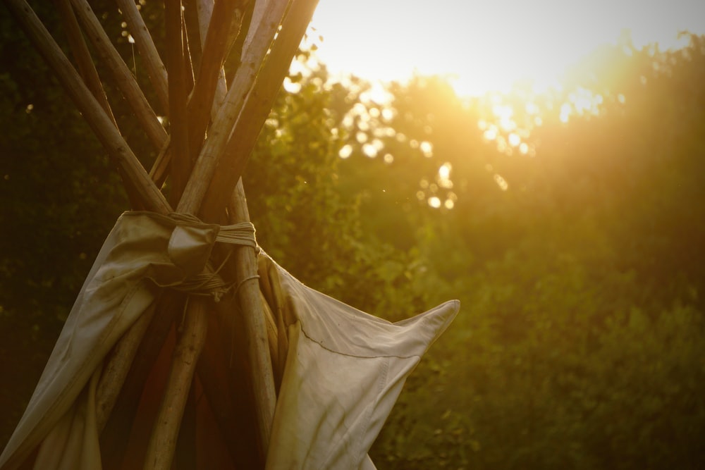 white textile on brown wooden fence during daytime