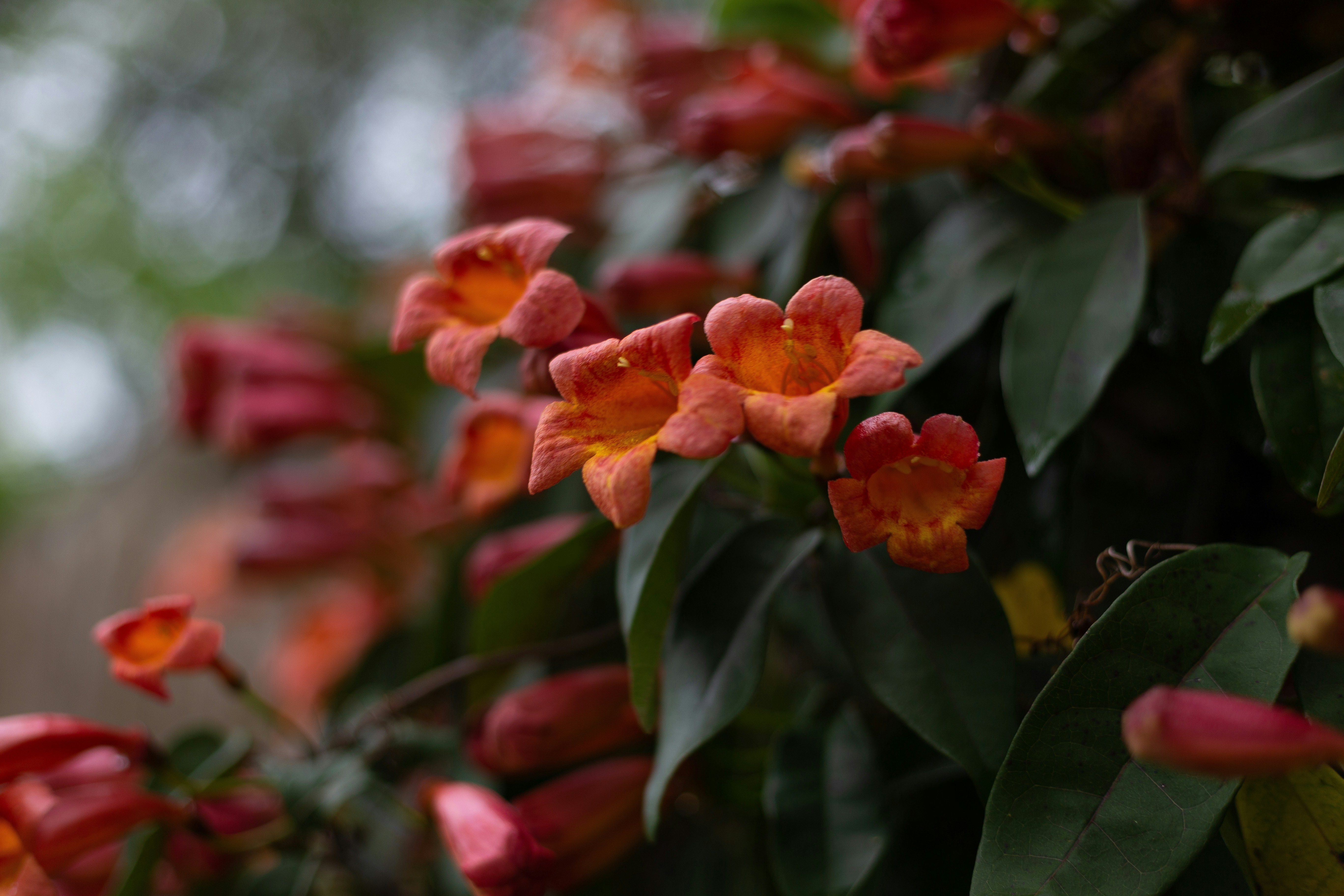 Photo by delaneyvan