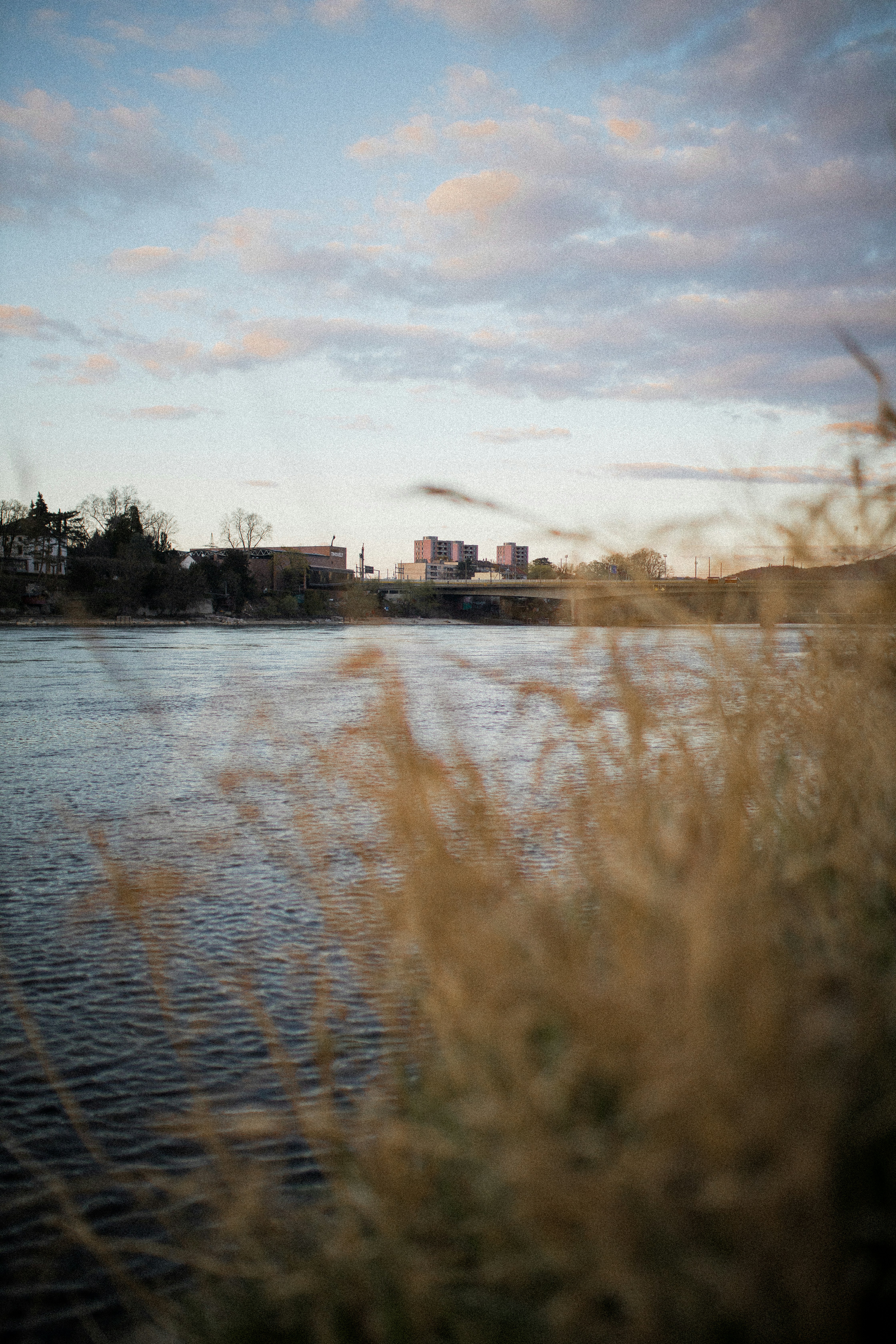 Photo by corina_rainer_