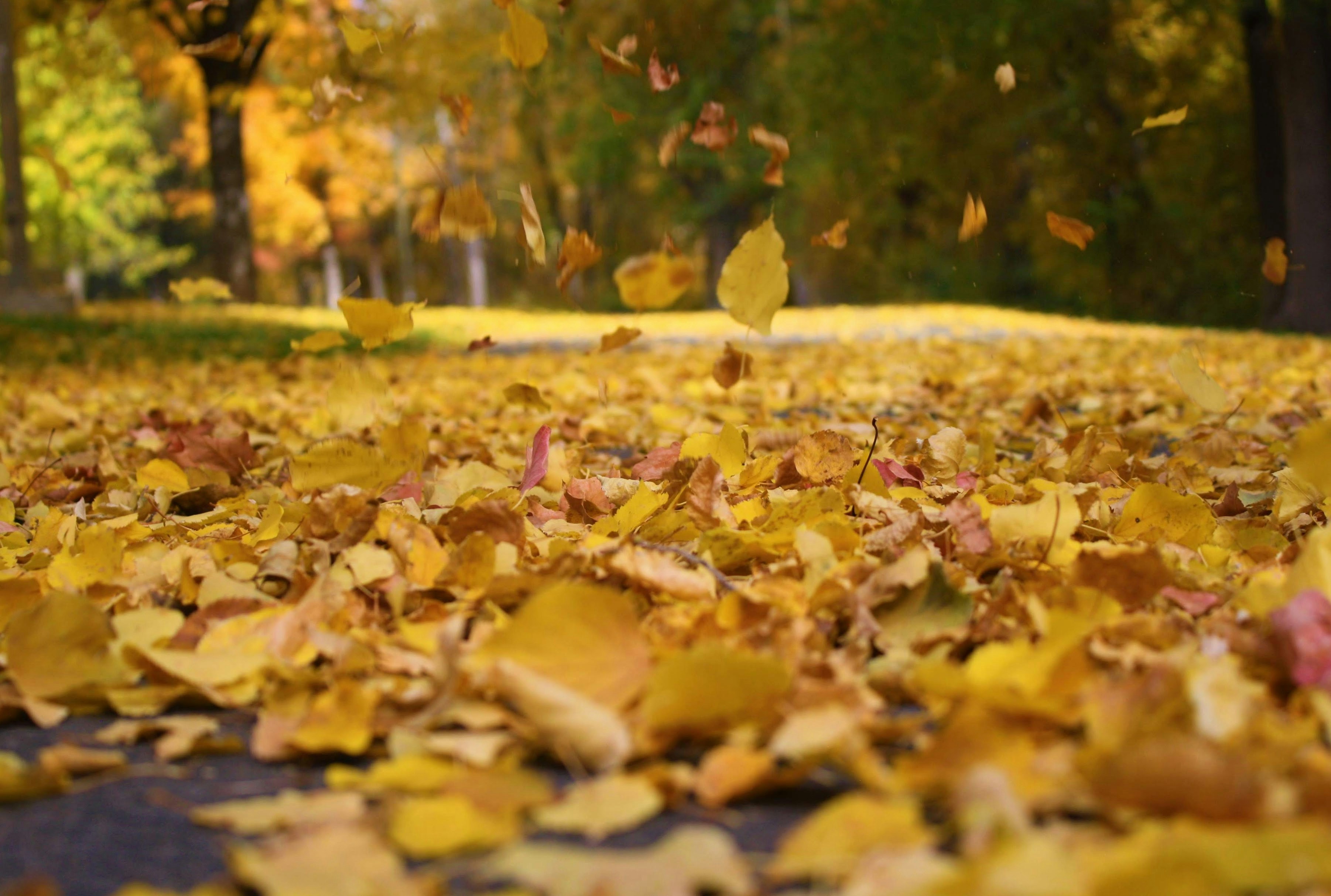 Photo by galaxylab_35