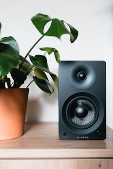 audio auriculares parlantes altavoces