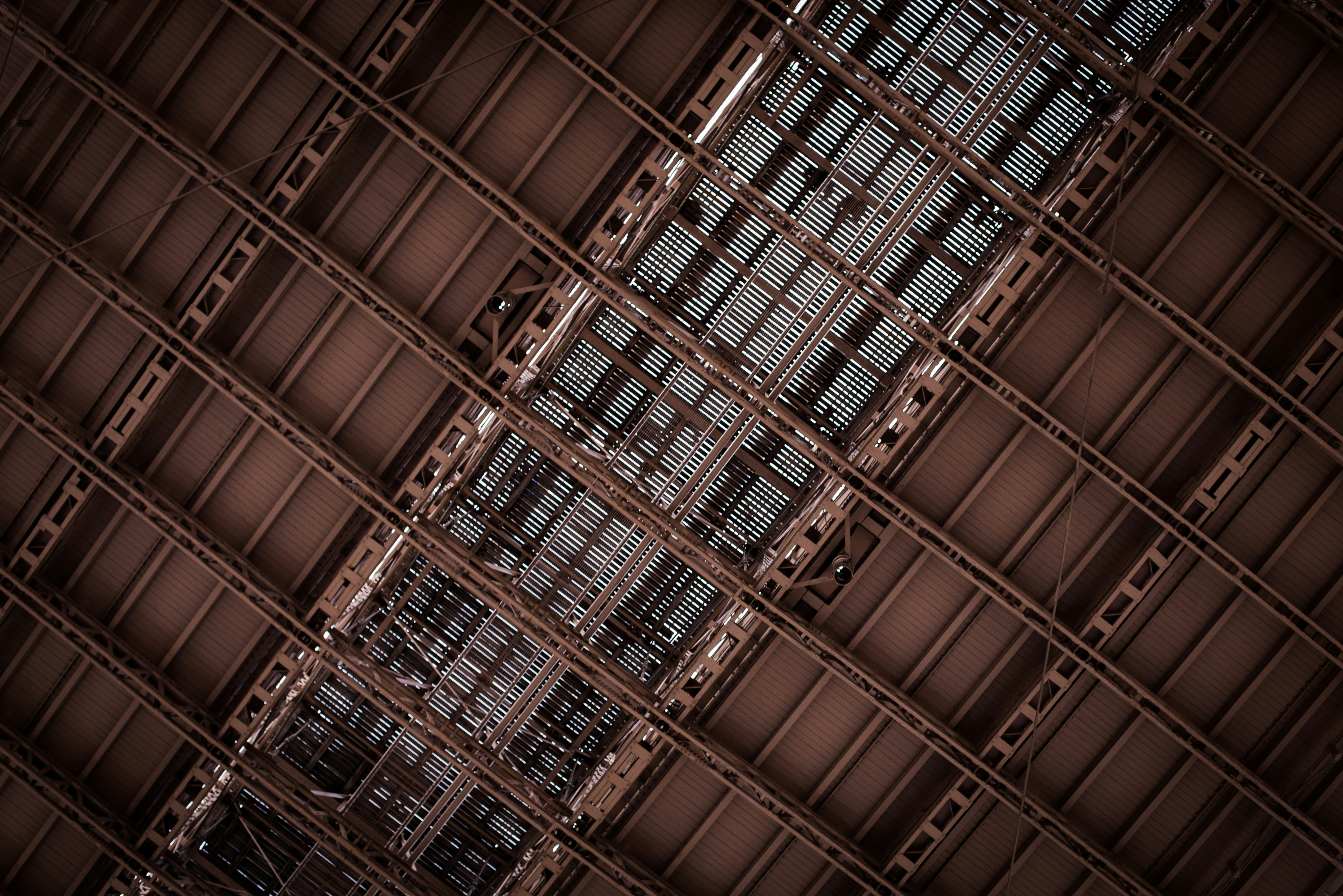 Photo by luku_muffin