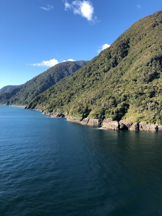 photo of Te Wahipounamu Coast near Milford Sound