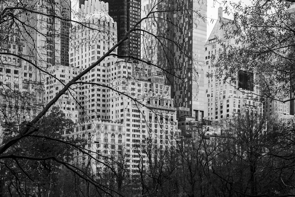 grayscale photo of city buildings