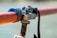 Close-up of a metal clamp securing a red rod, with visible blue padding for protection and a rope tied around it. The background is blurred, creating a shallow depth of field effect.