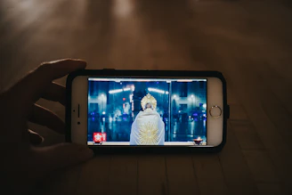 person holding silver iphone 6