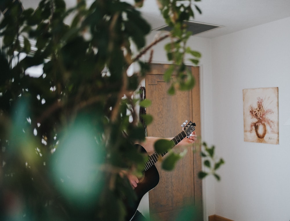 man playing guitar near green leaf plant