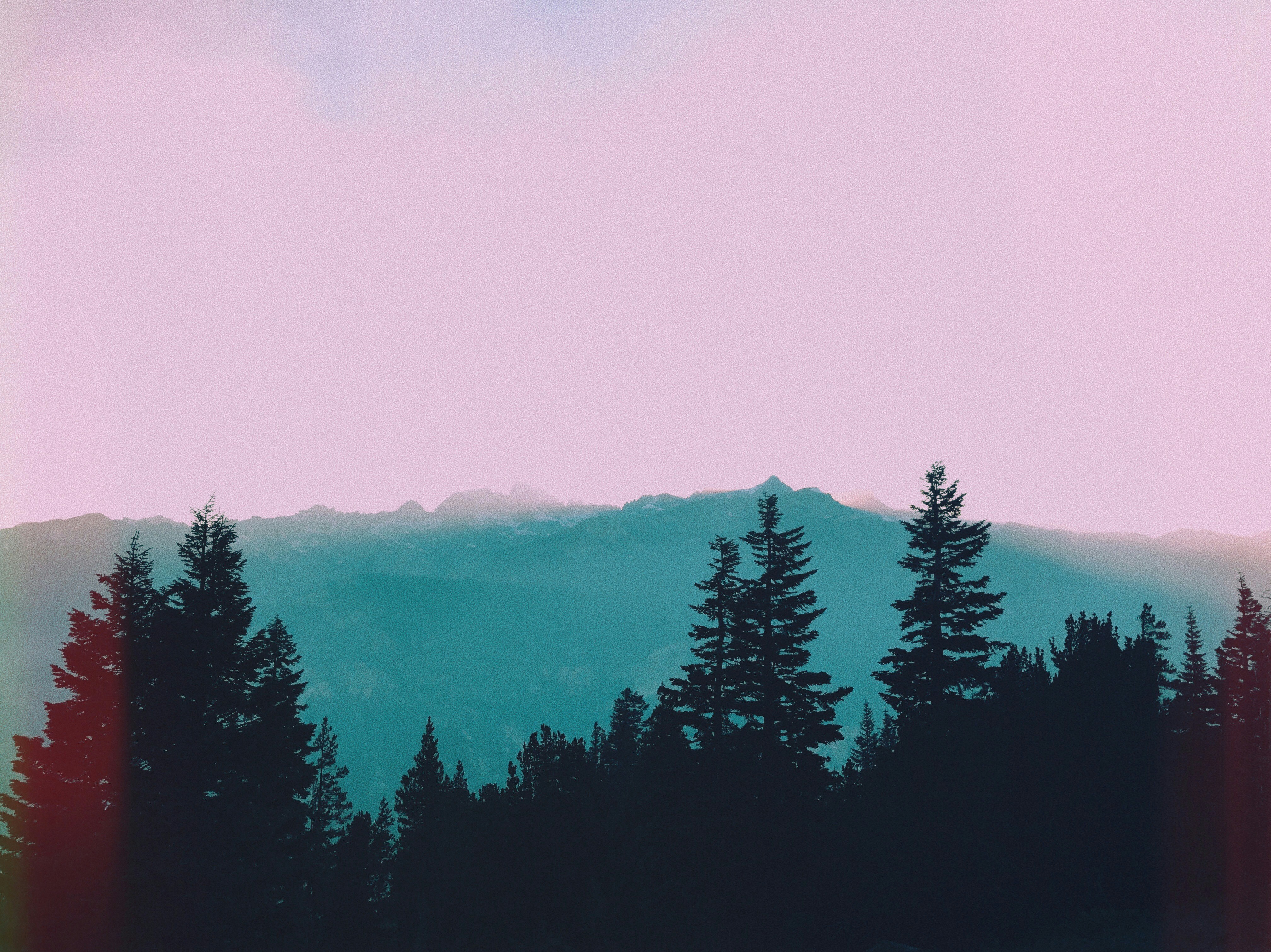 Photo by ab_cathcart