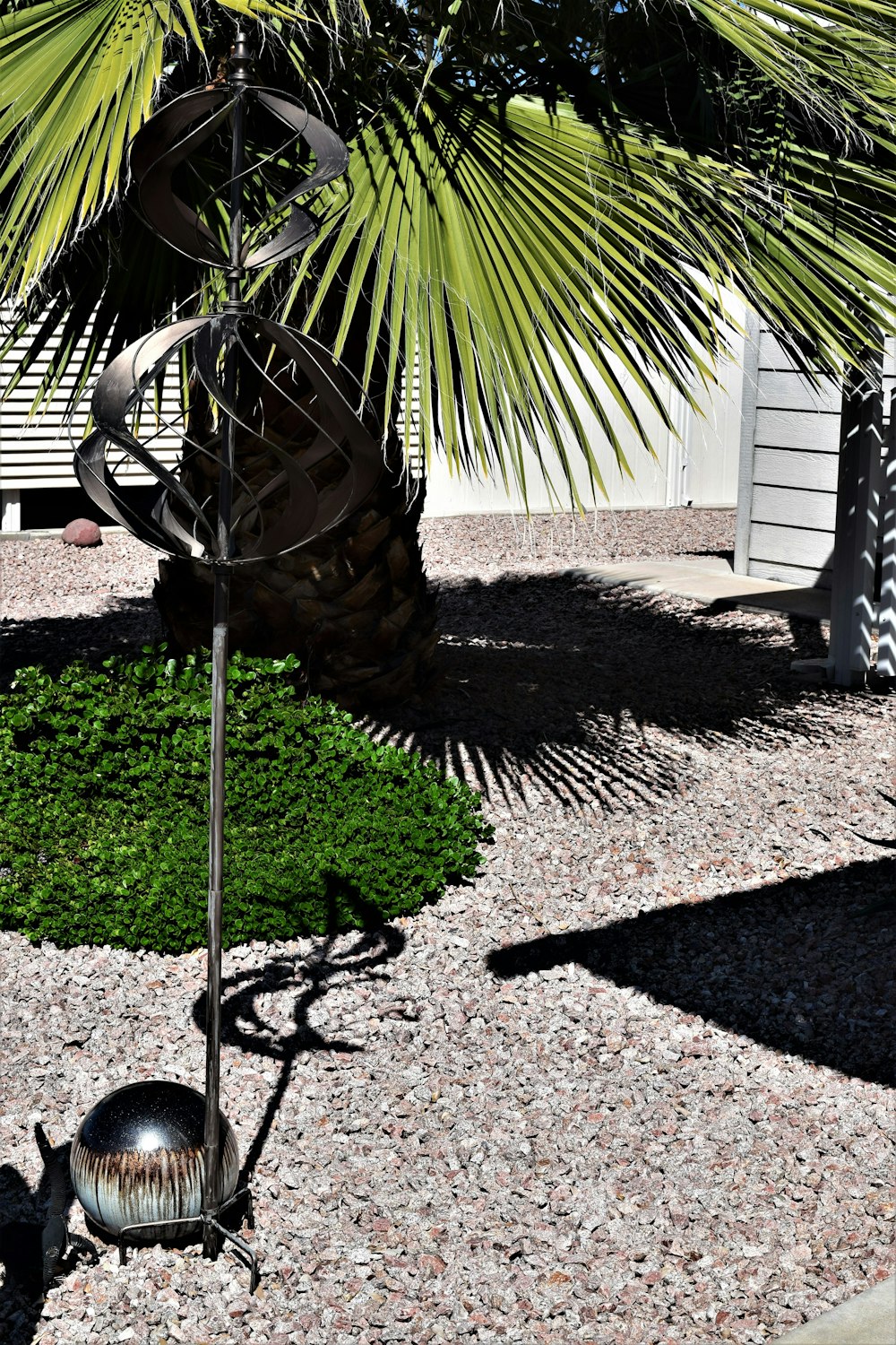 black metal bird cage near green palm tree during daytime