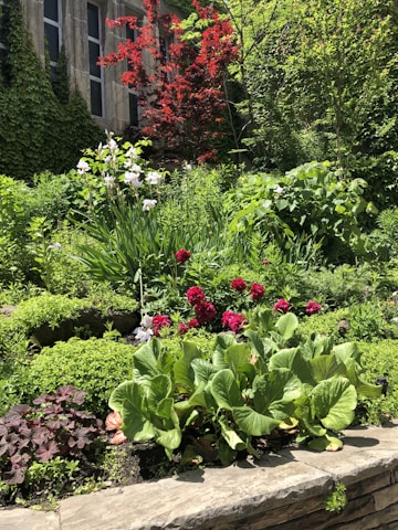 A vibrant garden filled with various plants and gardening supplies.