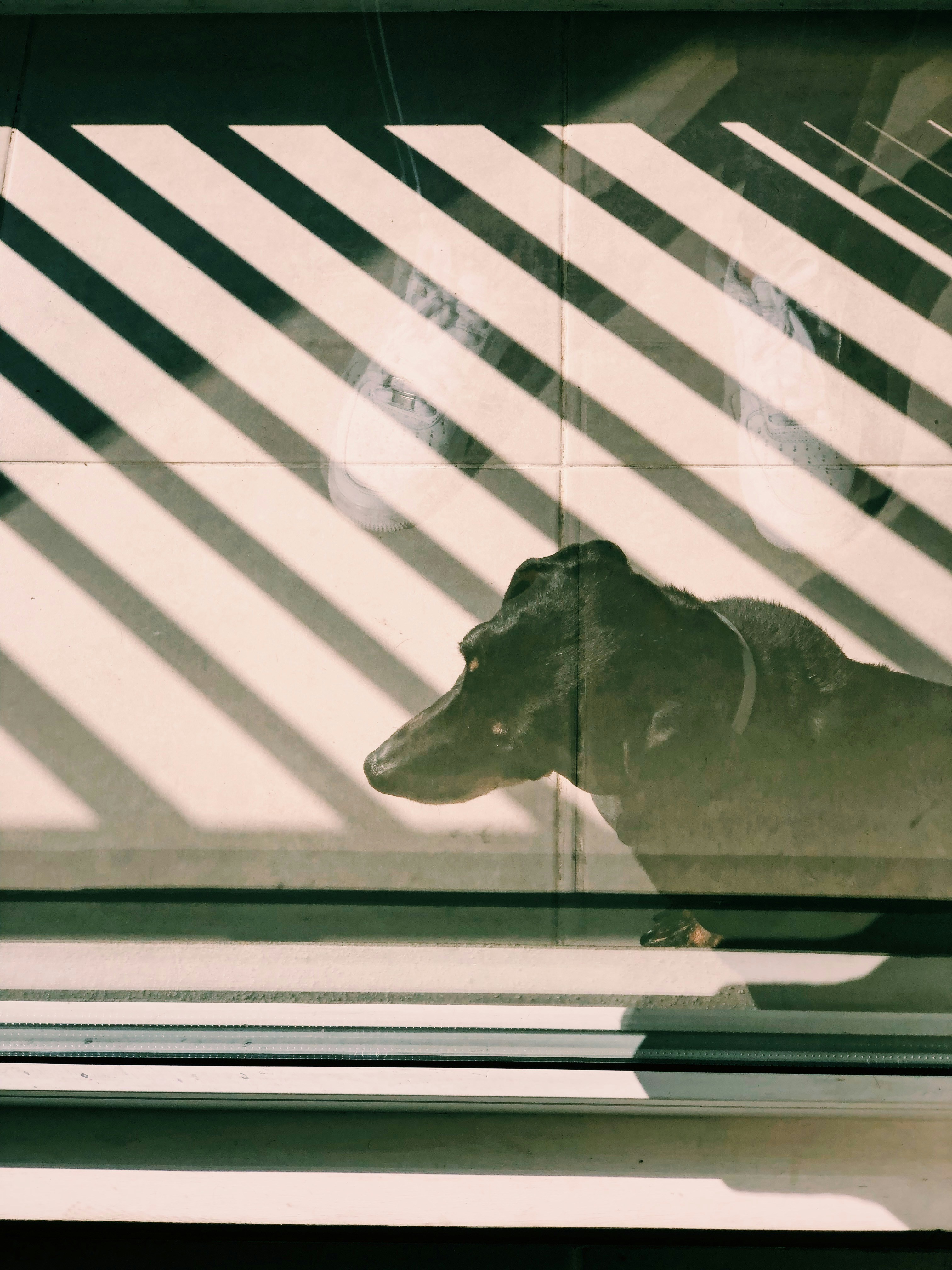 Photo by cuartodeiibra