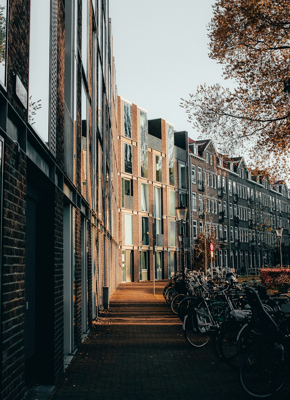 bicycles parked on sidewalk beside building during daytime