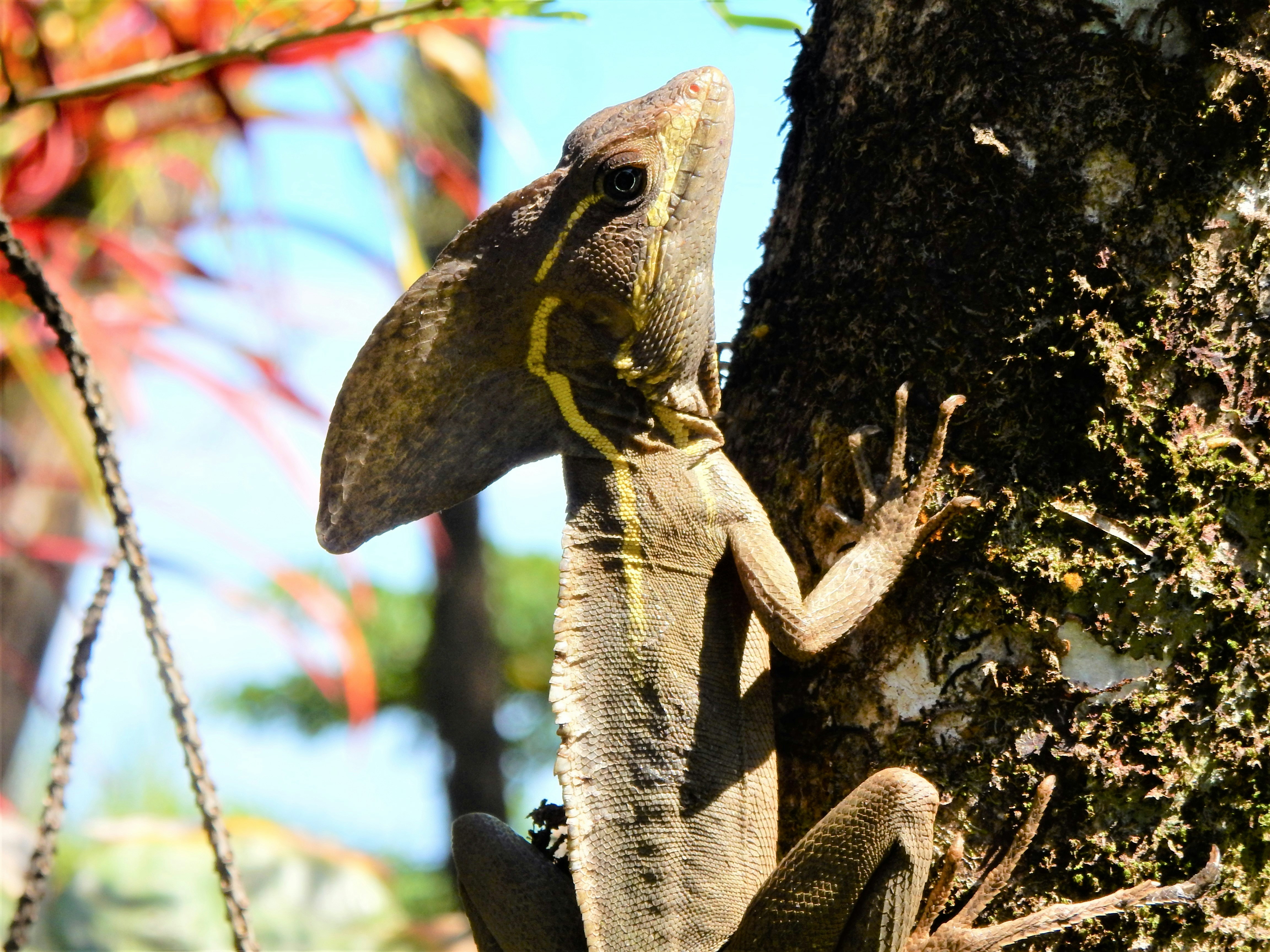 Photo by kate_4_smile