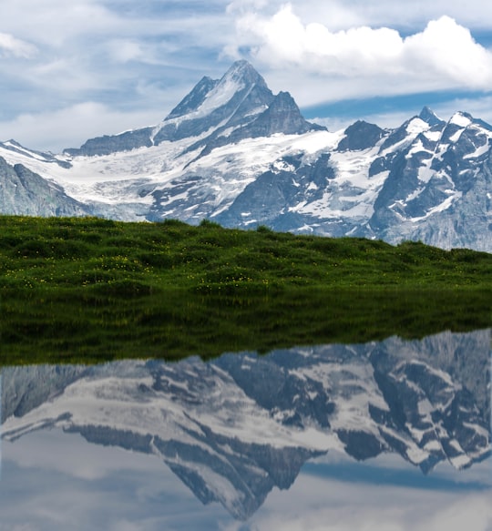 snow covered mountain during daytime in Bachalpsee Switzerland