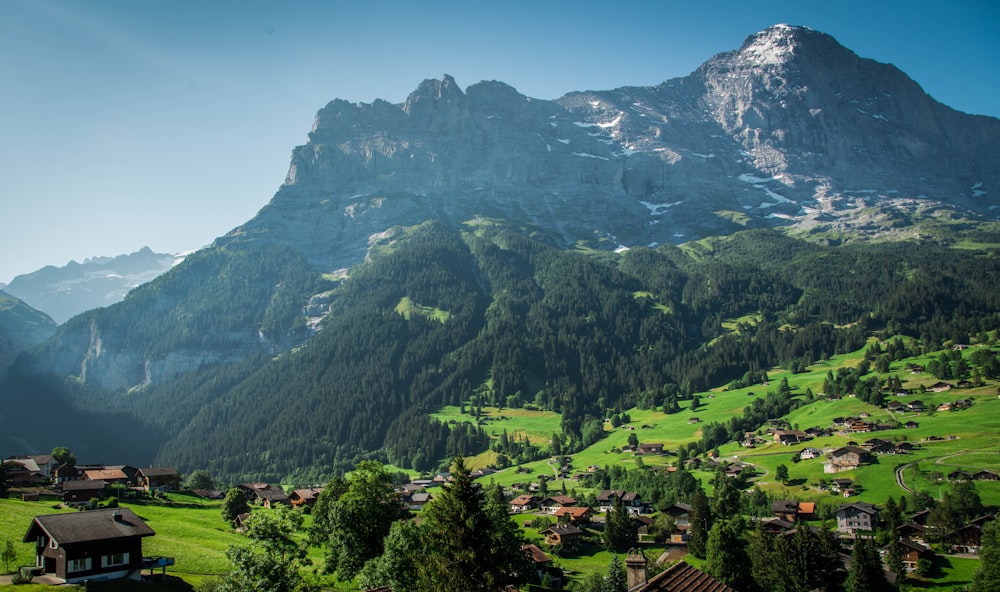 montagne verte et brune sous ciel bleu pendant la journée