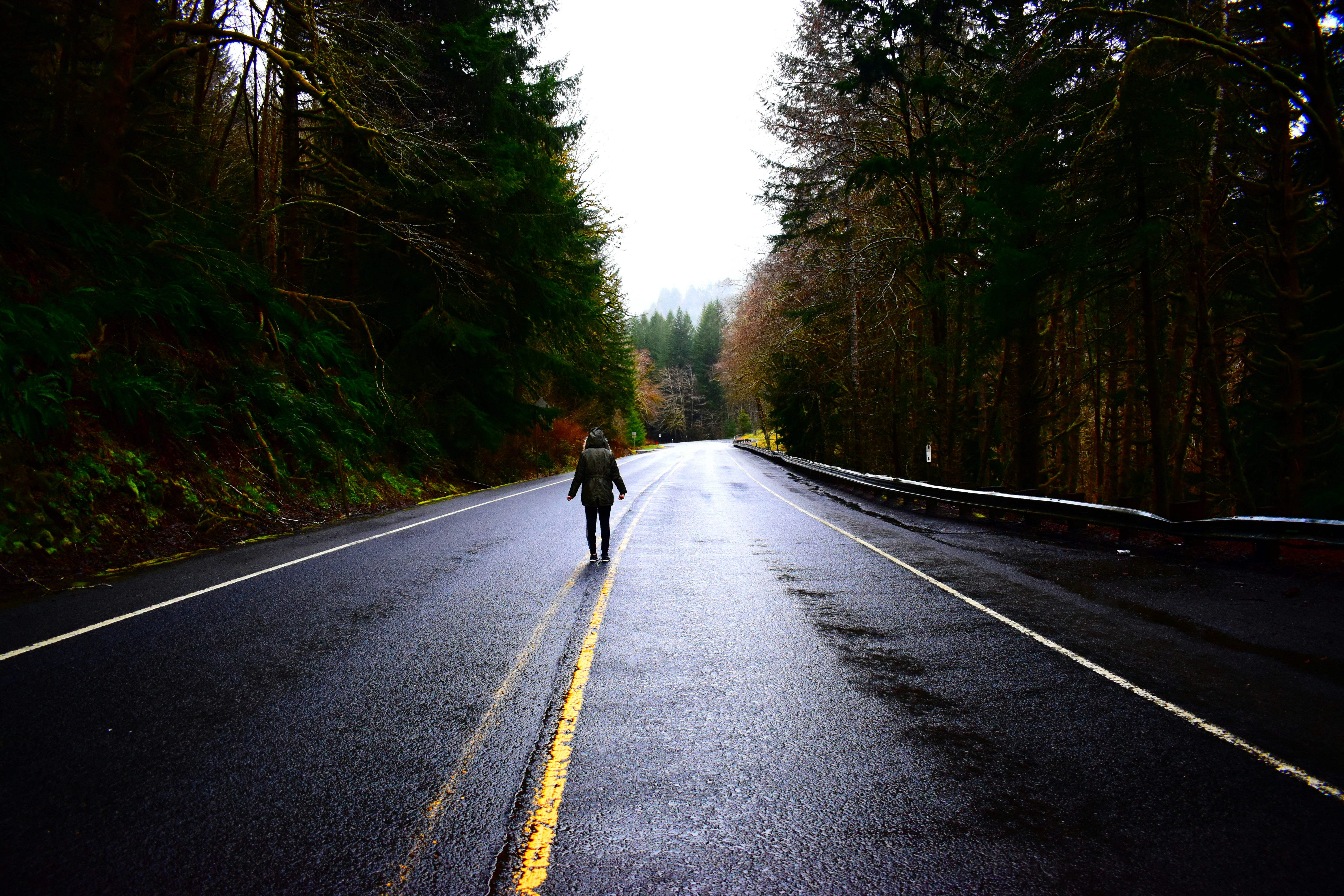 Photo by pictures102