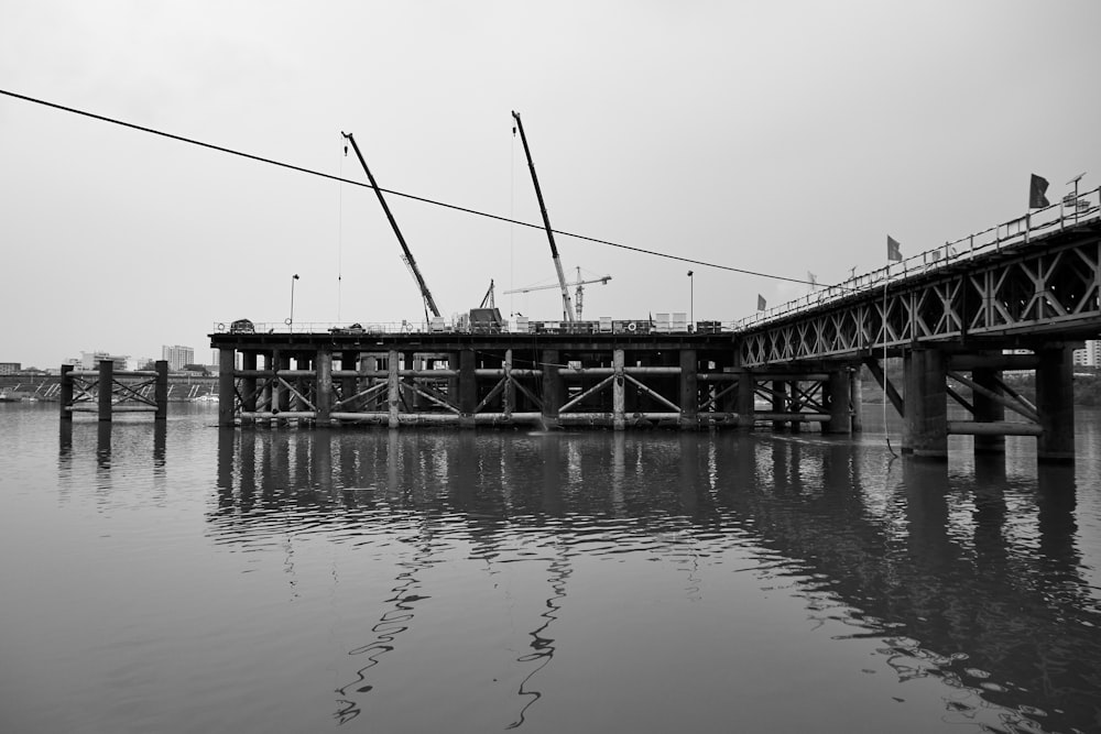 grayscale photo of wooden dock on calm water