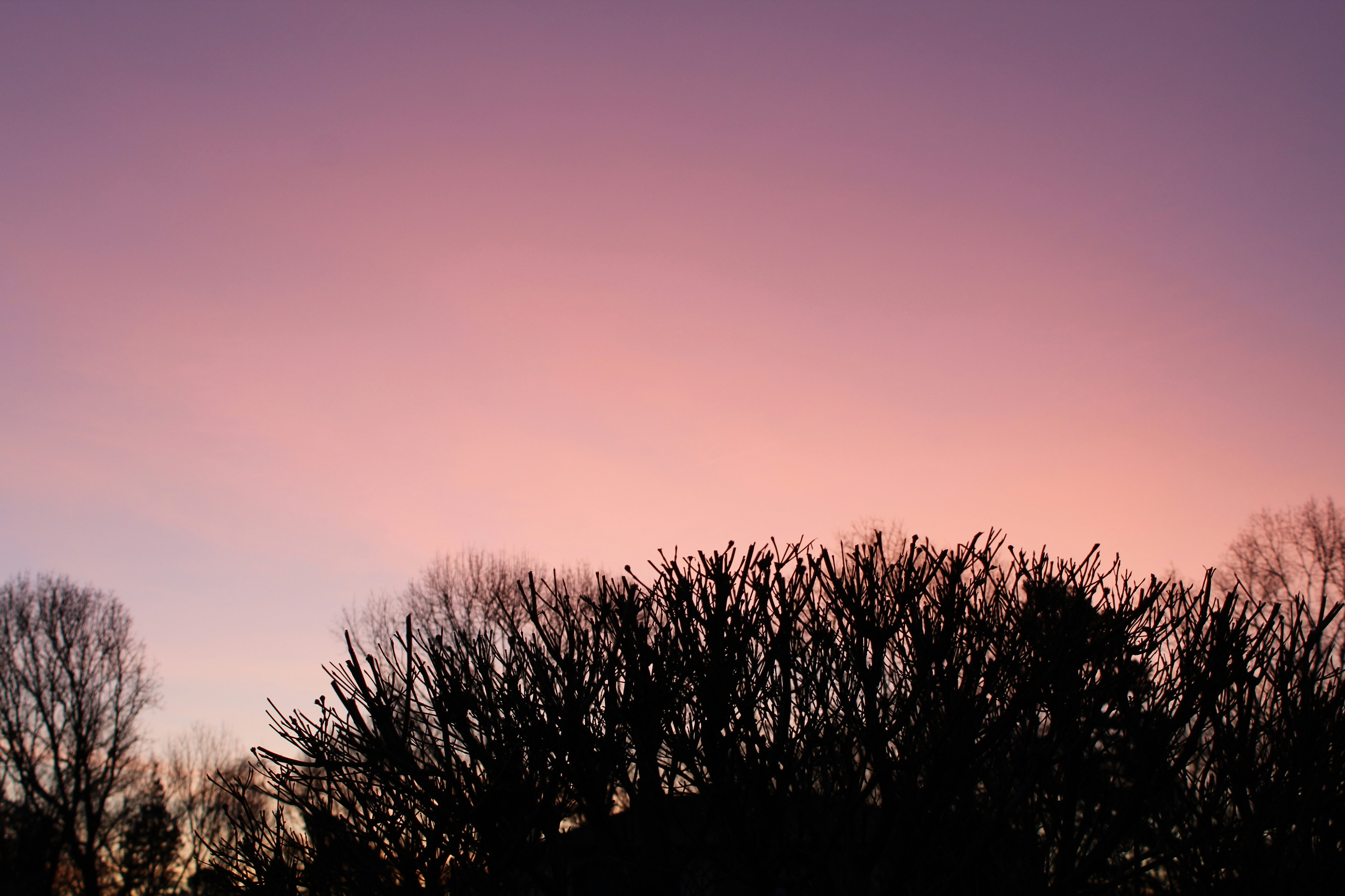 Photo by illegal_guatemalan16