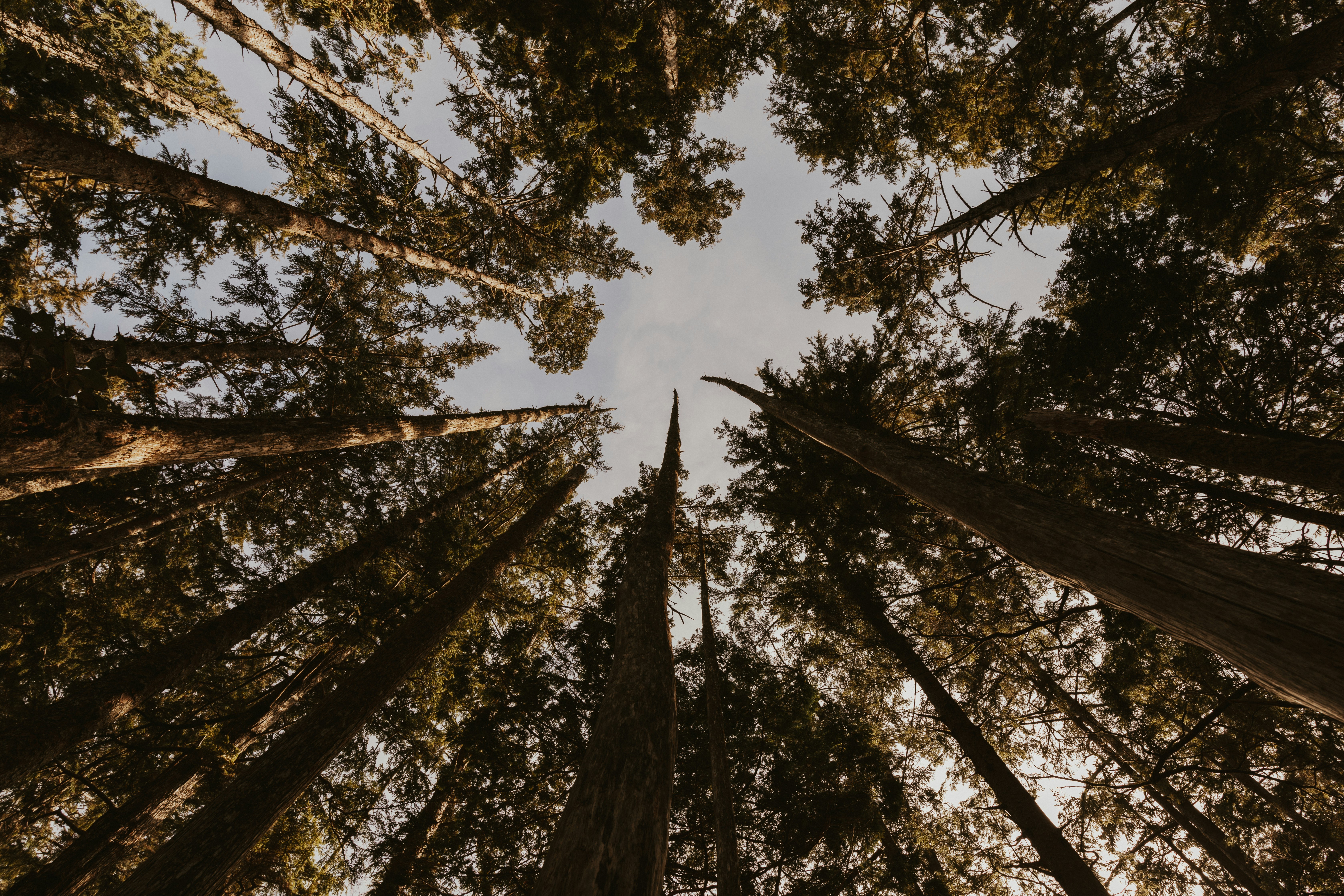 Photo by haywayfilms