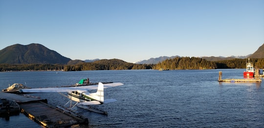 white and green boat on sea during daytime in Tofino Canada