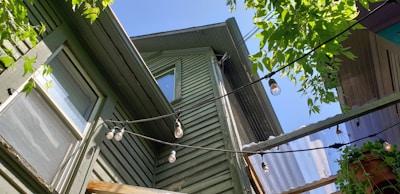black and white light bulb on green wooden roof