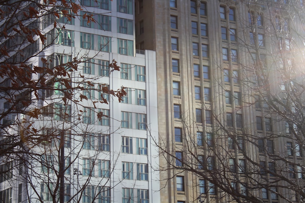 a tall building with lots of windows next to trees