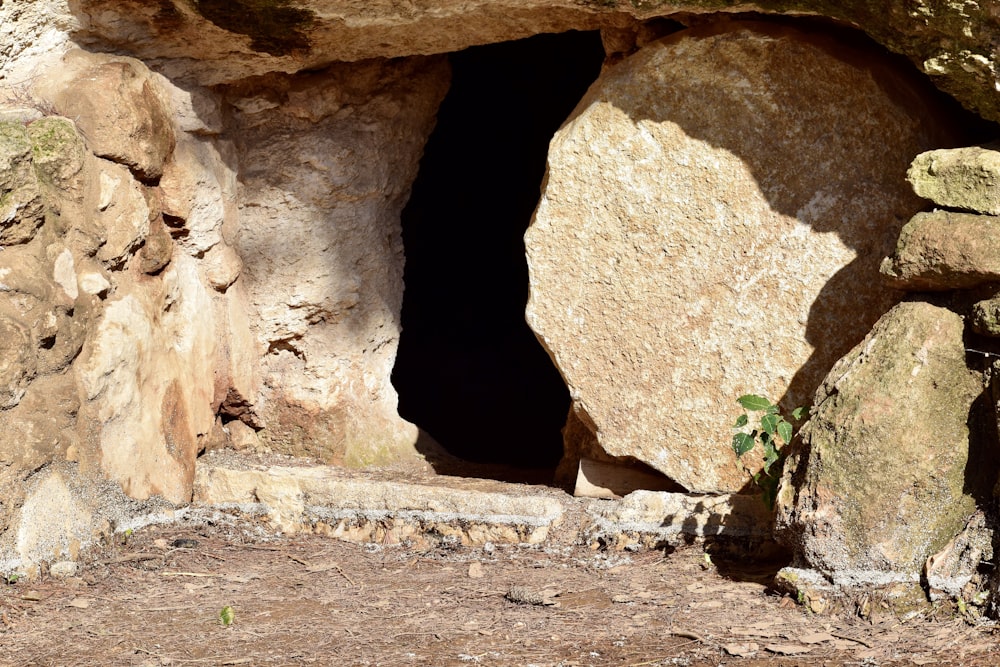 brown rock formation during daytime