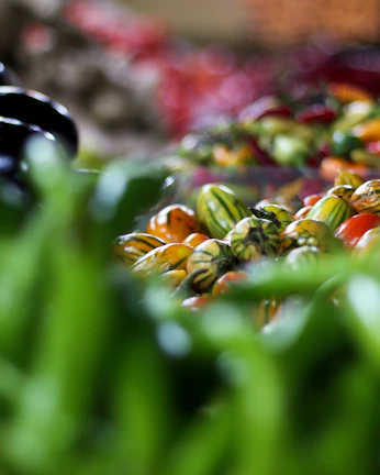 Close-up of fresh farm produce arranged artfully for a food market campaign.