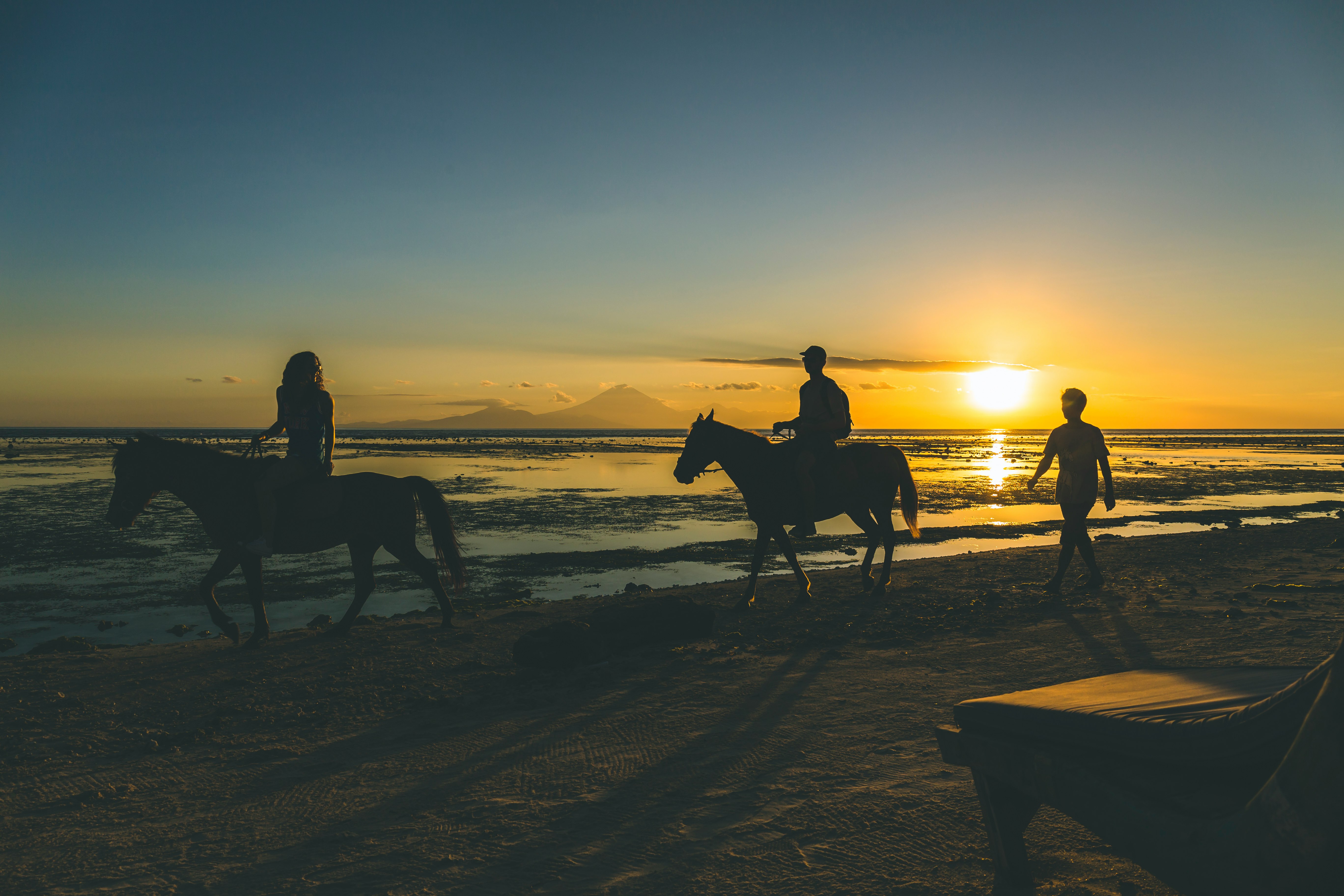 silhouette of 2 people riding horse on beach during sunset