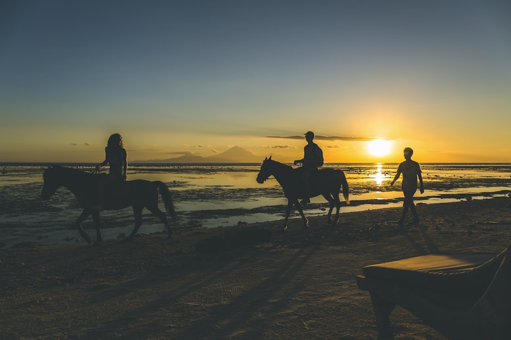 silhouette of 2 people riding horse on beach during sunset
